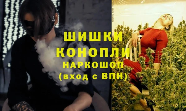 амф Верея