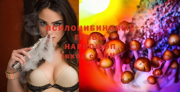 амф Верея