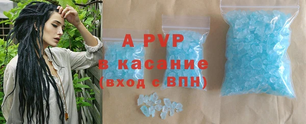 амф Верея