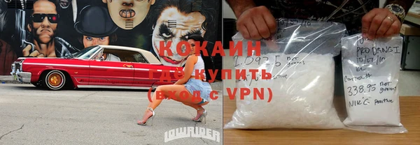 амф Верея